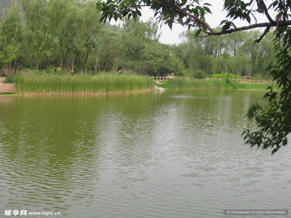 植物园风景