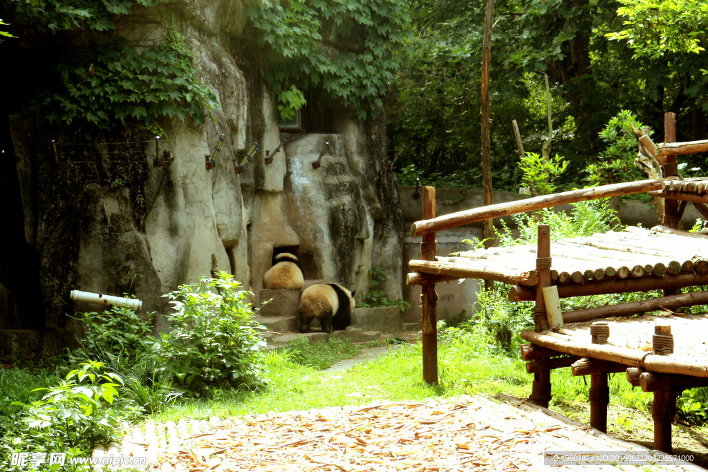 熊猫基地