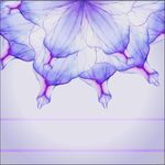 半花开2