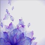浮梦花