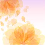 花韵梦