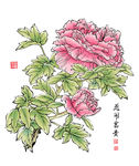 花卡富贵