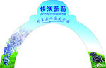 蓝莓海报 蓝莓广告