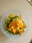 南瓜花图片