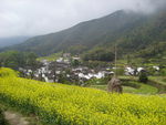 乡下农村