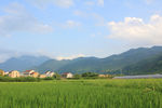 乡下农村