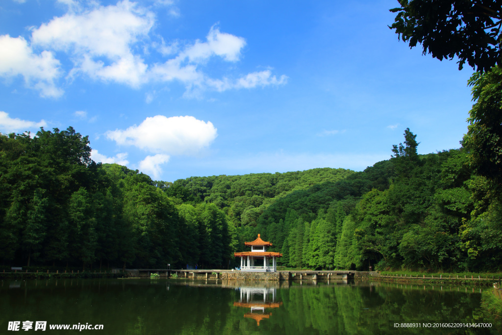 仙湖植物园