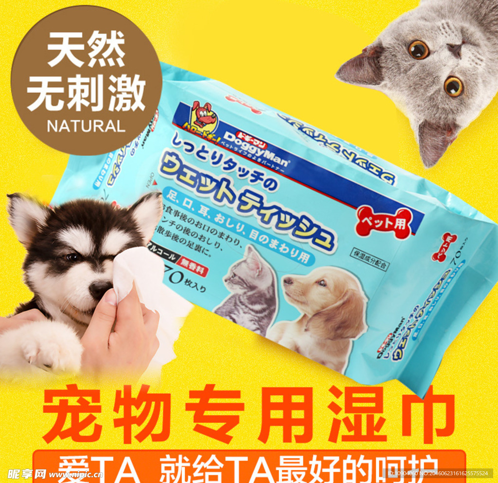 猫咪湿巾宠物湿巾直通车