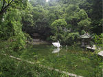 公园