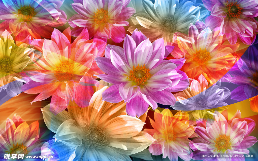 抽象花卉