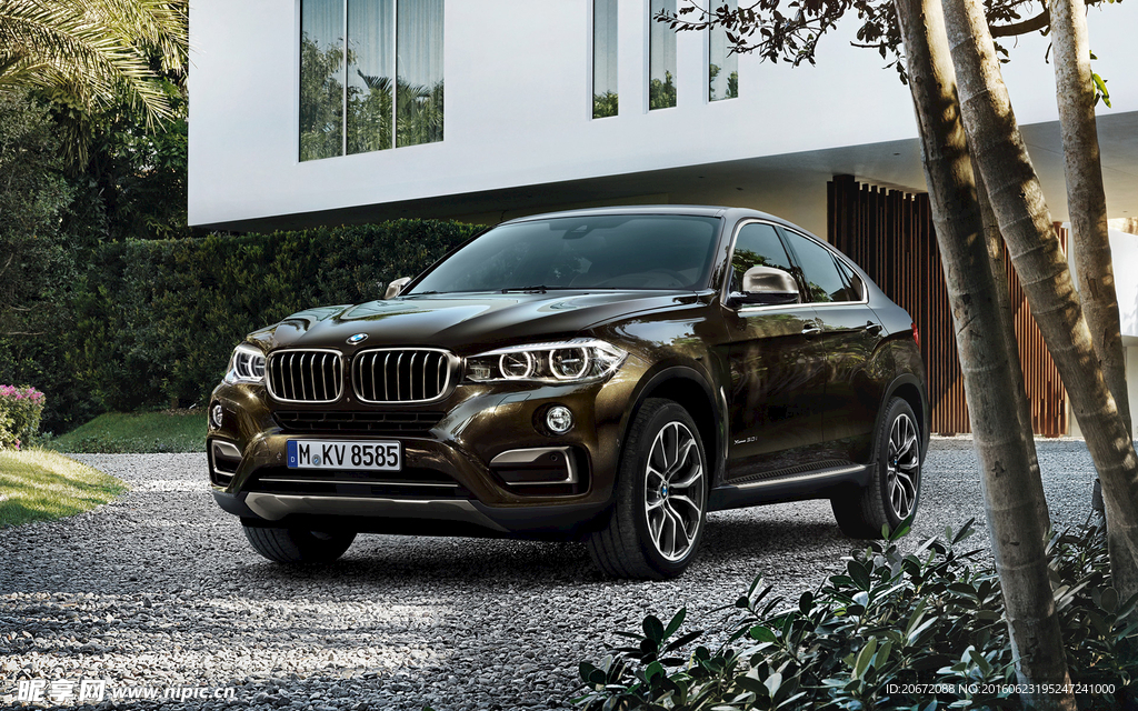 宝马新BMW X6