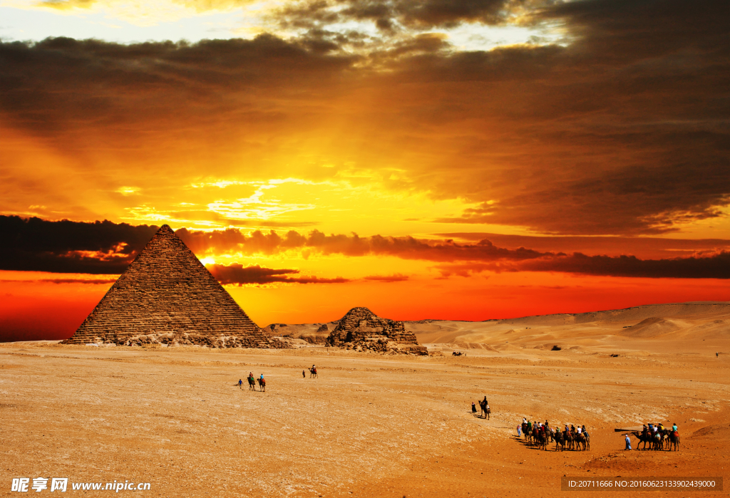 金字塔-骆驼群摄影