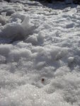 阳光中的残雪图片