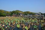 杭州西湖