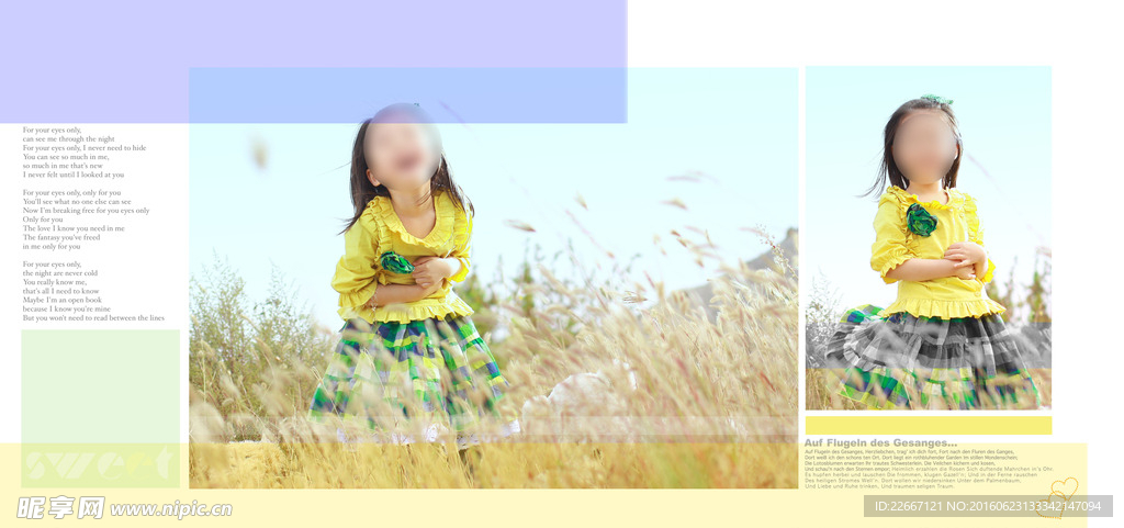 写真