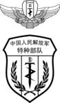 中国人民解放军特种部队