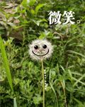 微笑蒲公英