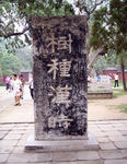 树种汉时碑