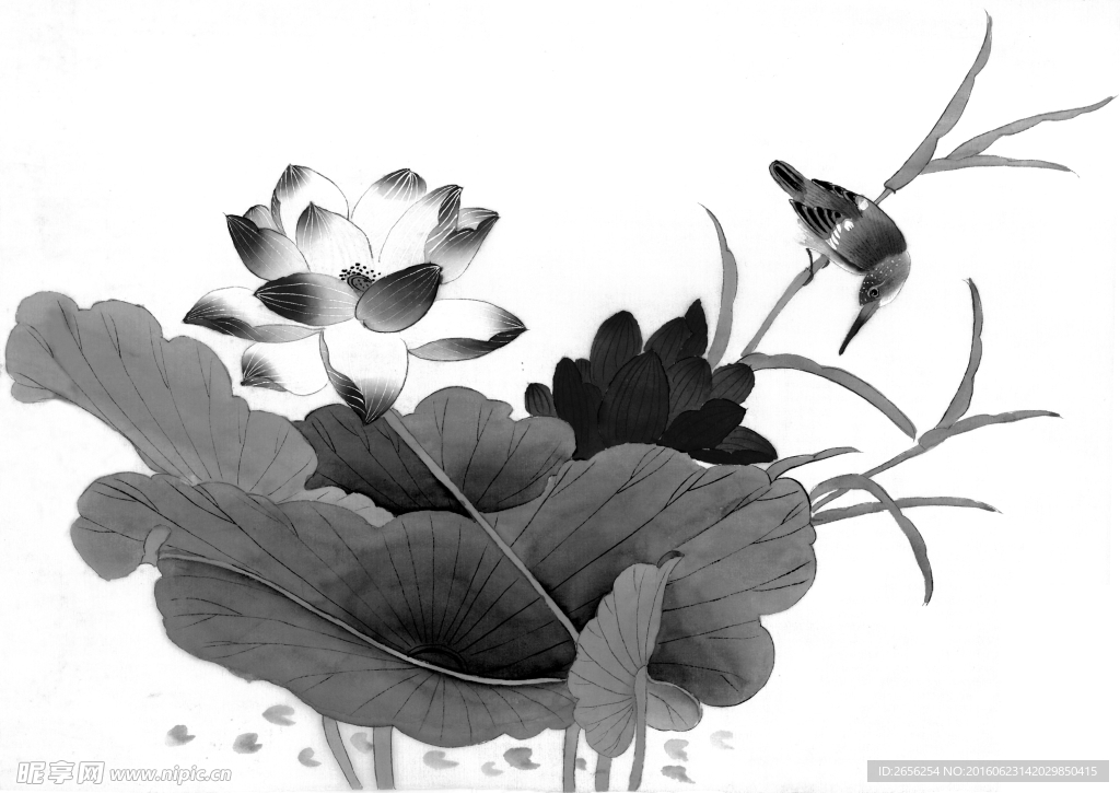 黑白水墨 莲花上的翠鸟