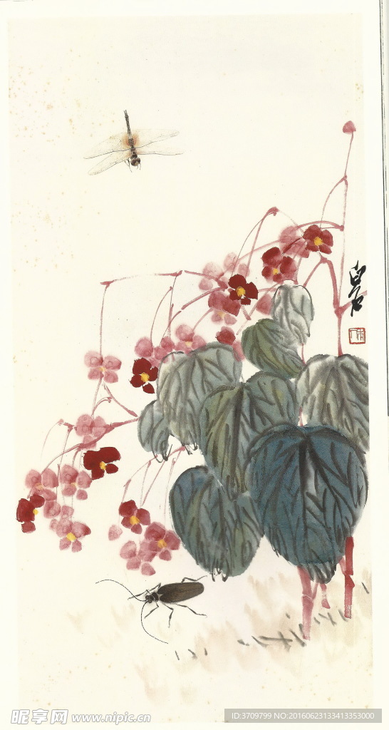 齐白石书法绘画艺术虫草秋海棠