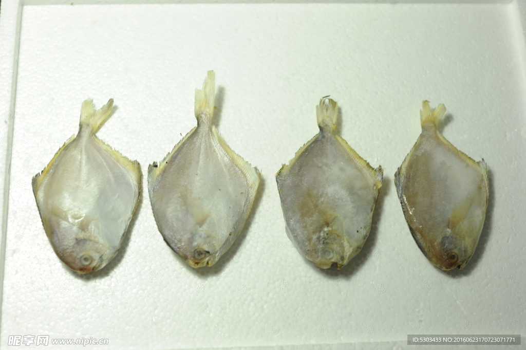 冰冻鲳鱼