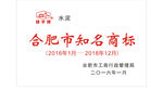 安徽省巢湖铸造厂有限责任公司