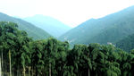 天目山