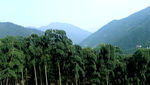 天目山