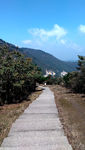 天目山
