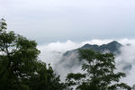 青城山