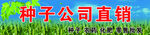 种子公司招牌
