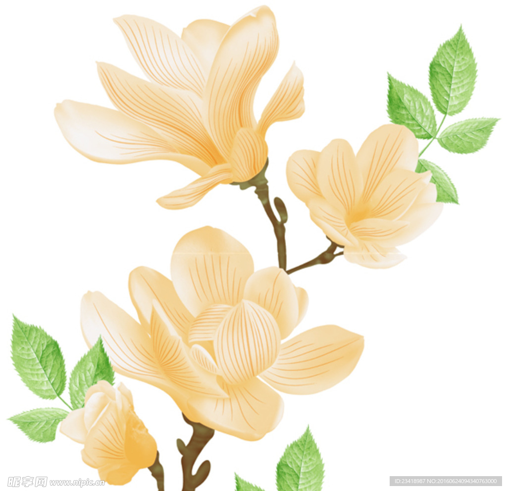 花片