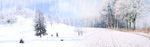淘宝banner雪景背景