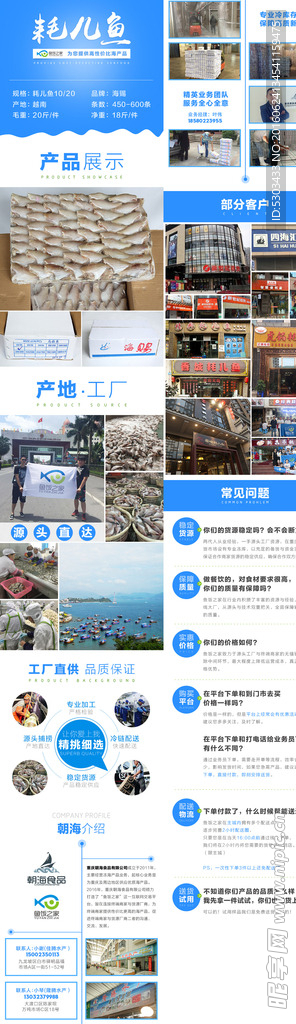 耗儿鱼批发