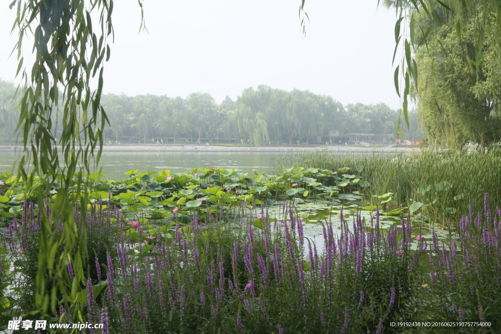 陶然亭风景