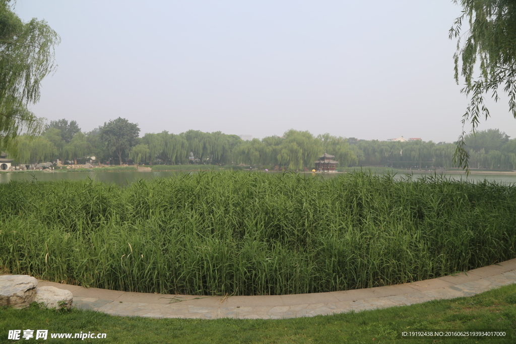 陶然亭风景