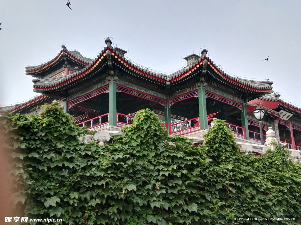 陶然亭风景