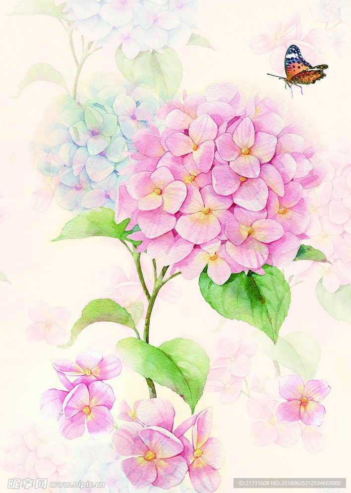 花卉