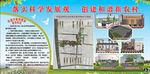 创建新农村