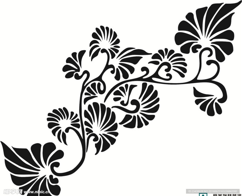 欧美花韵