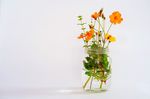 小清新插花