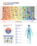 健康饮食图表