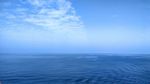 大海