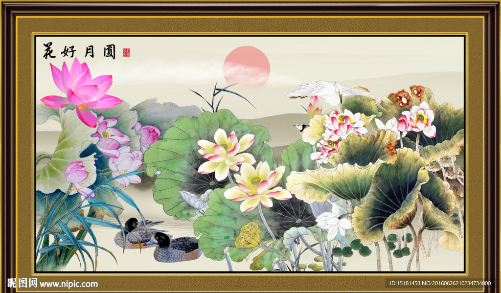荷花国画