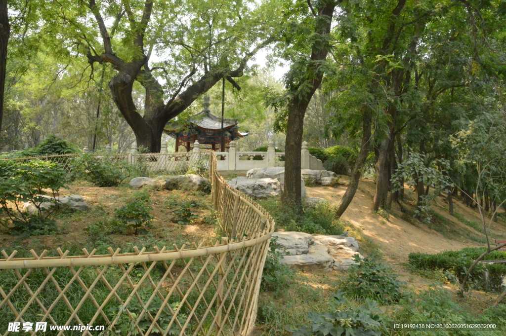 植物园风景