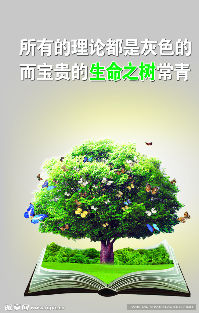 生命之树展板