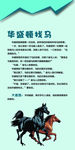 华盛顿找马