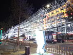 池北区的夜晚