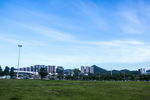 蓝天下的大草地