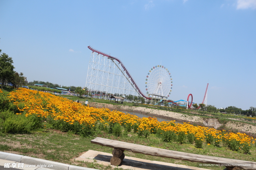 公园草地